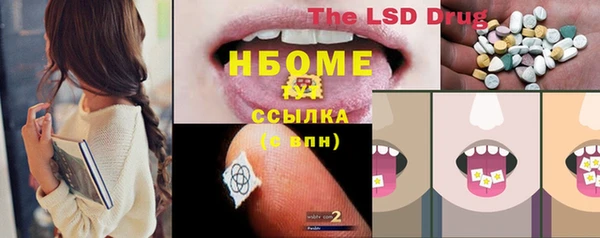 тгк Каменногорск