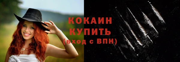 тгк Каменногорск
