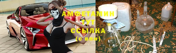 тгк Каменногорск
