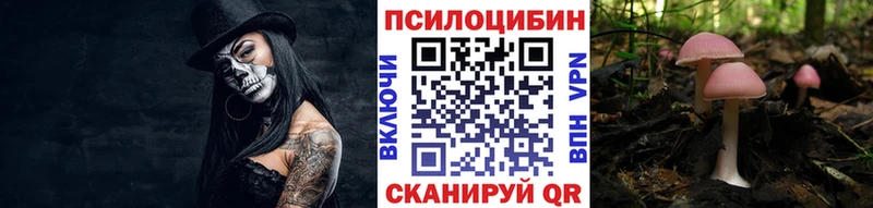 Галлюциногенные грибы Cubensis  Купить где  Вяземский 